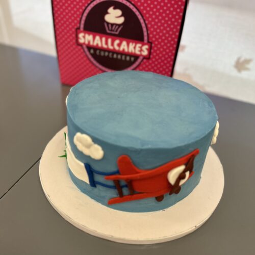 cake with an airplane on it