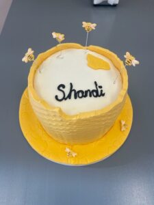 shandi bee cake